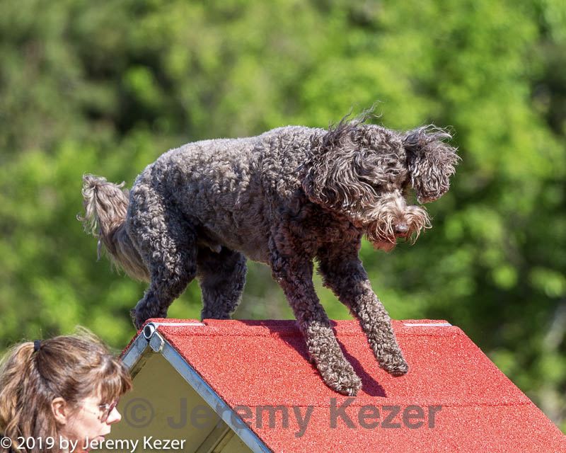 20190615-cckc-0007.jpg