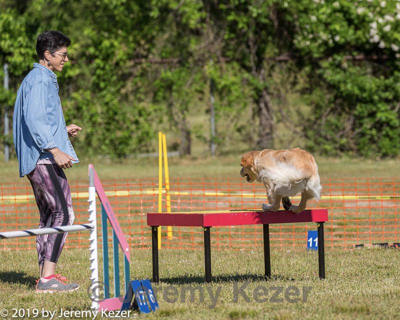 20190615-cckc-0024.jpg