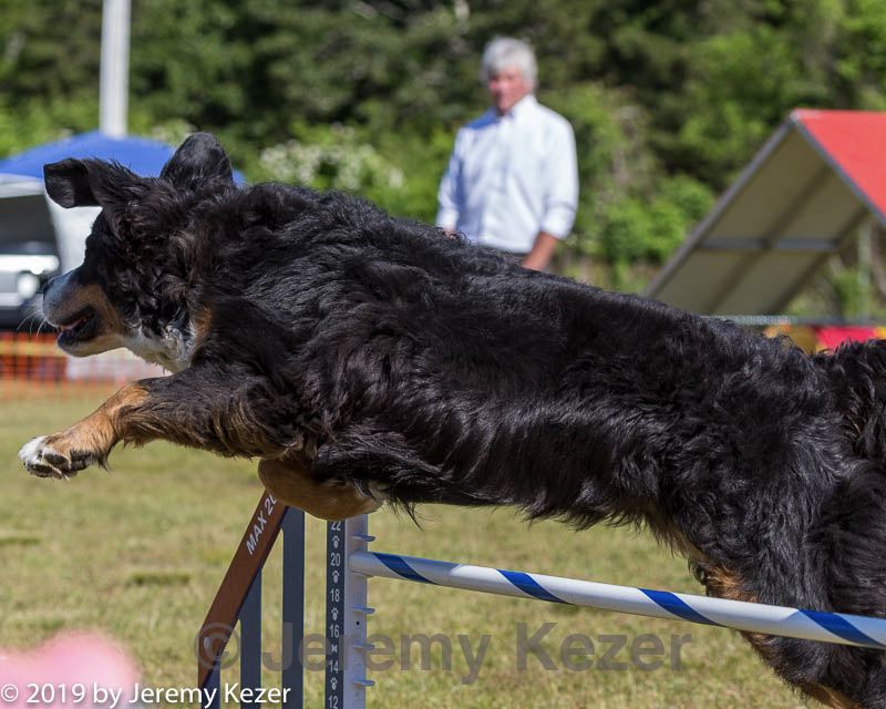 20190615-cckc-0159.jpg