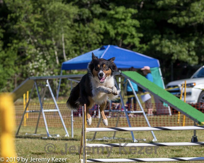 20190615-cckc-0001.jpg