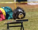 20190615-cckc-0812