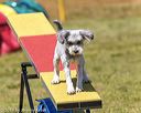 20190615-cckc-0792