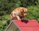 20190615-cckc-0762