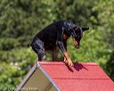 20190615-cckc-0652