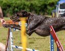 20190615-cckc-0677
