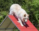 20190615-cckc-0695