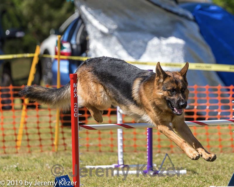 20190615-cckc-1469.jpg