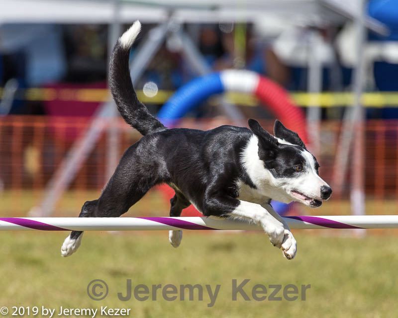 20190615-cckc-1417.jpg