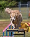 20190615-cckc-0578