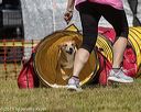 20190615-cckc-0512