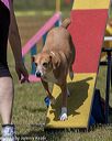 20190615-cckc-0523