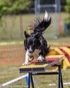 20190615-cckc-0540