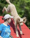 20190615-cckc-0548
