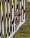 20190616-cckc-1037