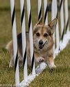 20190616-cckc-1039