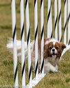 20190616-cckc-1077