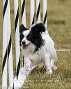 20190616-cckc-1111