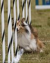 20190616-cckc-1124