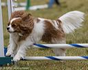 20190616-cckc-1147