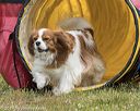 20190616-cckc-1162