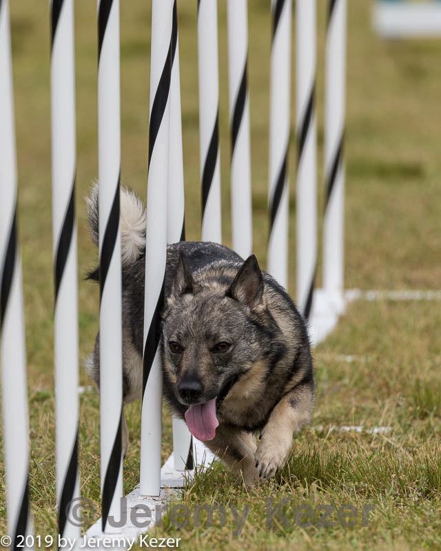 20190616-cckc-1069.jpg
