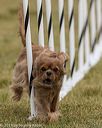 20190616-cckc-1177