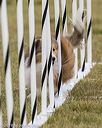 20190616-cckc-1224