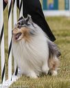 20190616-cckc-1248