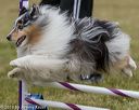 20190616-cckc-1265