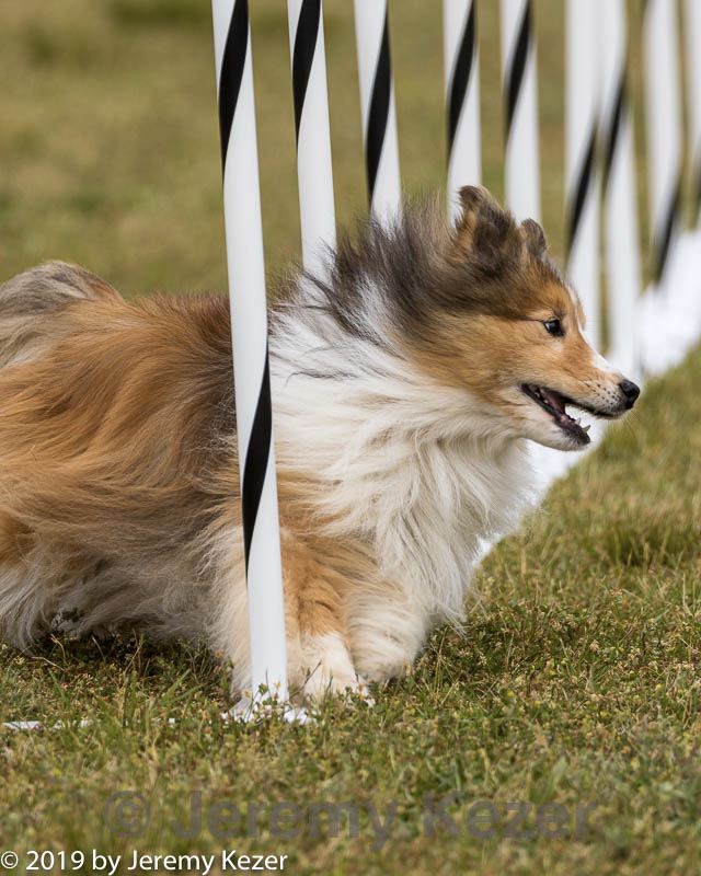 20190616-cckc-1236.jpg