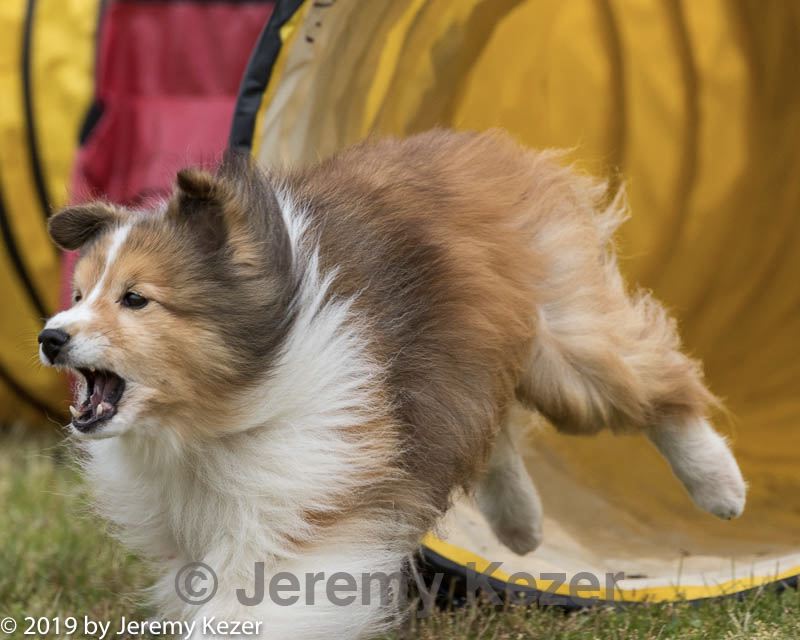 20190616-cckc-1239.jpg