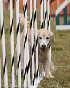 20190616-cckc-1293