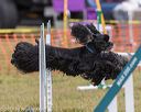 20190616-cckc-1416