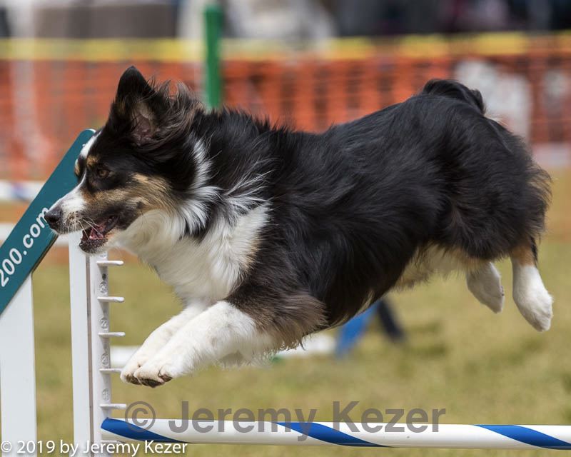 20190616-cckc-1365.jpg