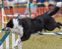 20190616-cckc-1474