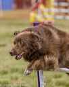 20190616-cckc-1522