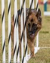 20190616-cckc-1530