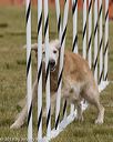 20190616-cckc-1559