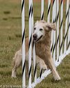 20190616-cckc-1560