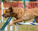 20190616-cckc-1572