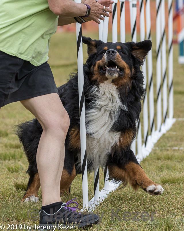 20190616-cckc-1462.jpg