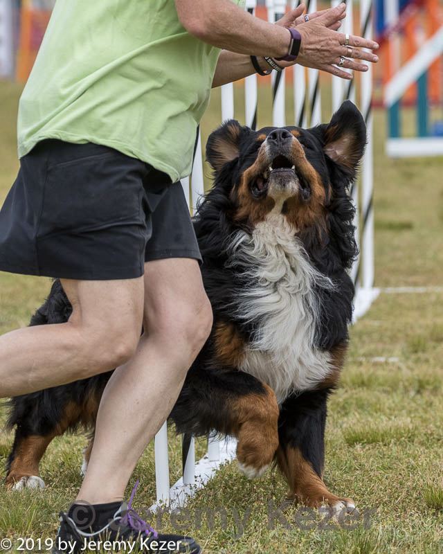 20190616-cckc-1463.jpg