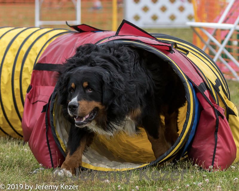 20190616-cckc-1468.jpg