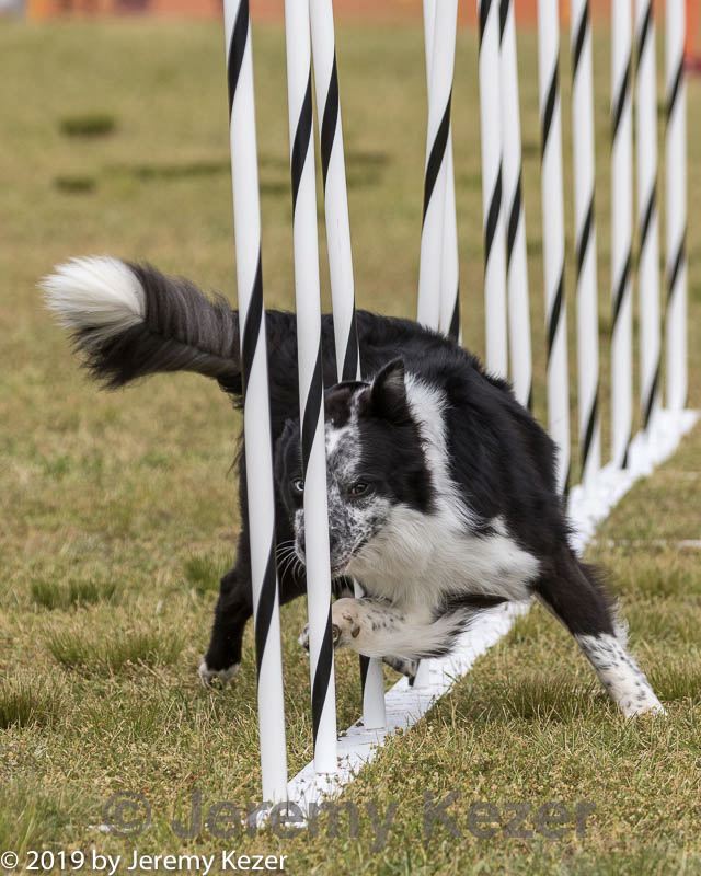 20190616-cckc-1486.jpg