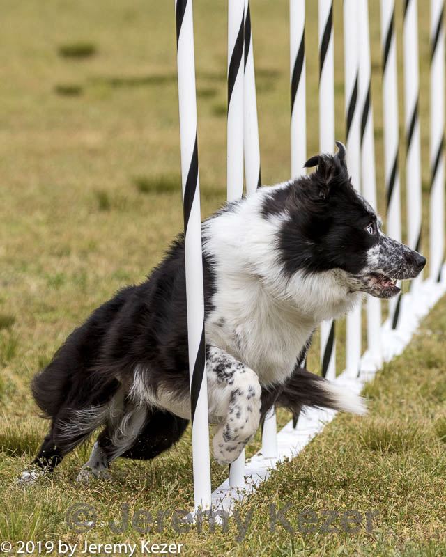 20190616-cckc-1490.jpg