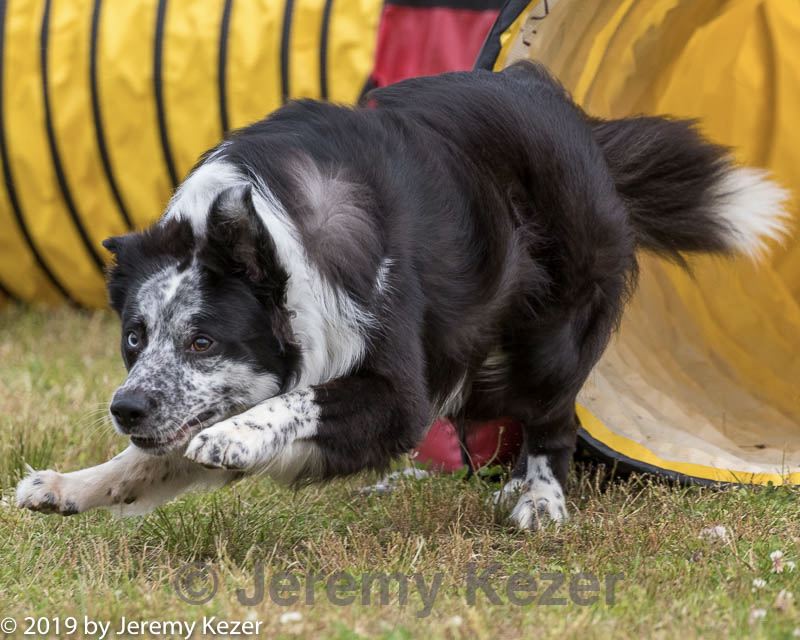 20190616-cckc-1494.jpg