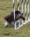 20190616-cckc-0244