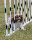 20190616-cckc-0274