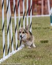 20190616-cckc-0297