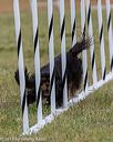 20190616-cckc-0370